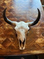 Stier Schädel Wanddekoration Kunststoff guter Zustand