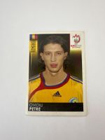 Panini UEFA EM 2008 Sticker - Nr. 321