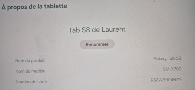 Samsung Tablet PC: Tablette Samsug Tab S8 - 128 Go – Usato da Bogis-Bossey venduto da VNT-GE.ch 8