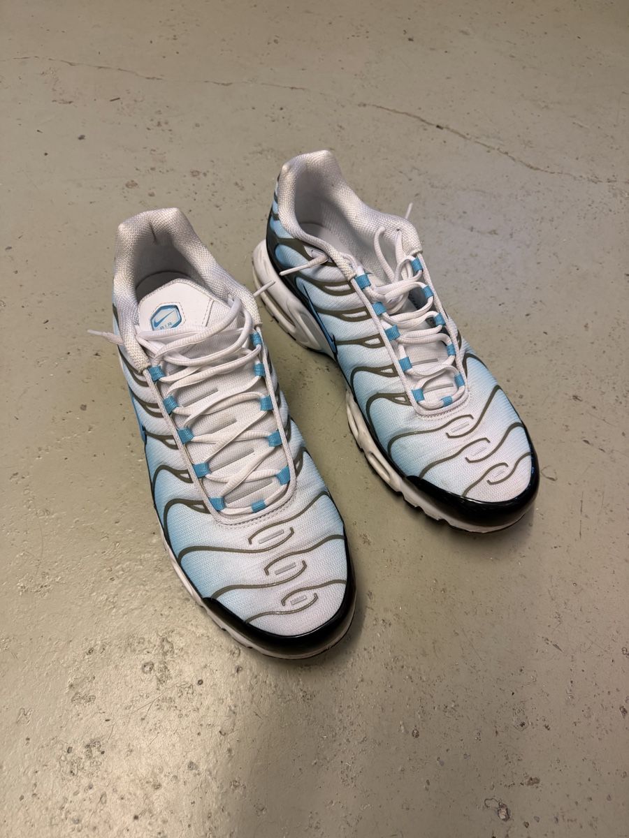 Nike Scarpe da uomo: Nike Air Max TN – Usato da Uster venduto da sneakerchris2001