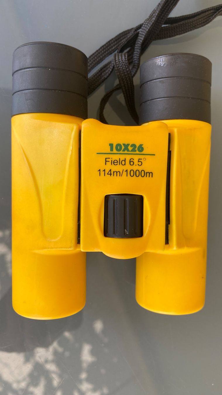 Feldstecher: Feldstecher 10 x 26 – Gebraucht aus Windisch von wolfika 3