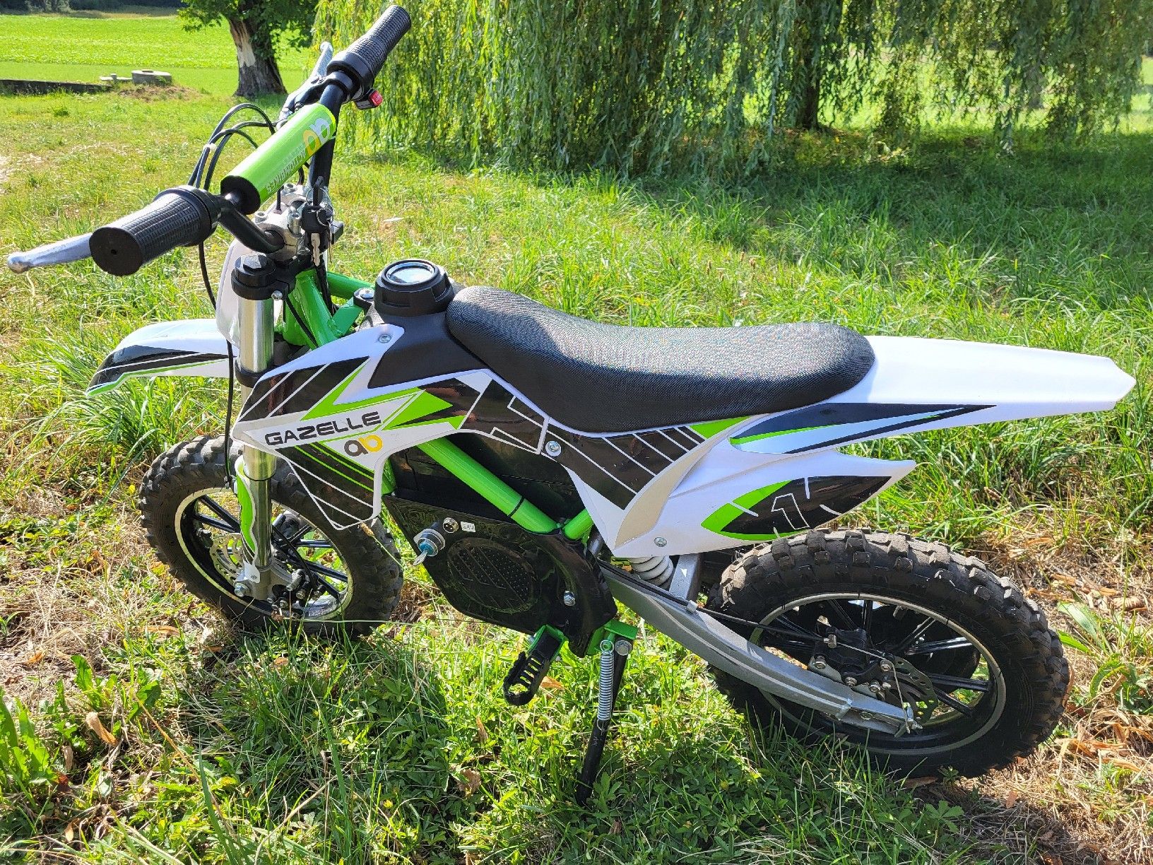Mini Bike: Kinder Elektro Pocket Bike – Usato da Tann venduto da Autocharlie86 1