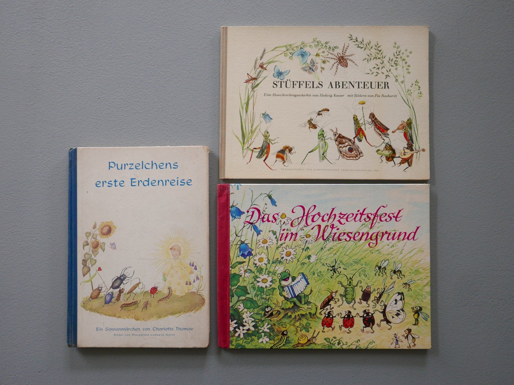 Libri: 3 ALTE KINDERBÜCHER MIT KÄFER UND WIESEN – Usato da Balgach venduto da Zwischenraum