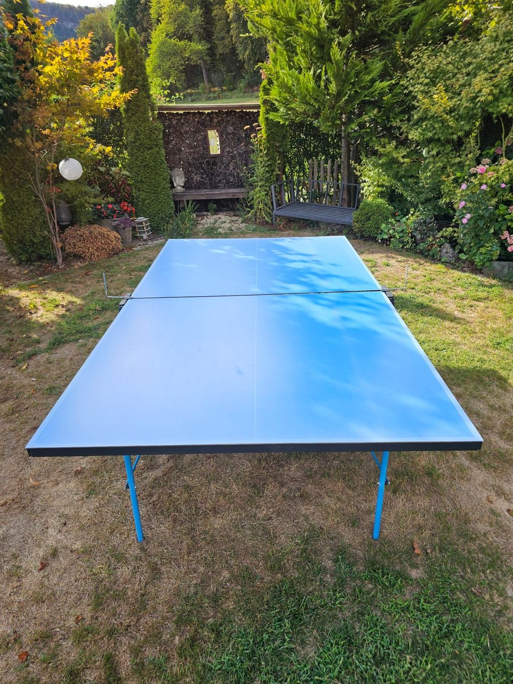 Tennis de table: Tischtennistisch – D'occasion à Aarburg par Joerg.Andre