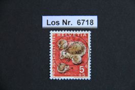 PJ 1965 sauberer Vollstempel                        Los 6718