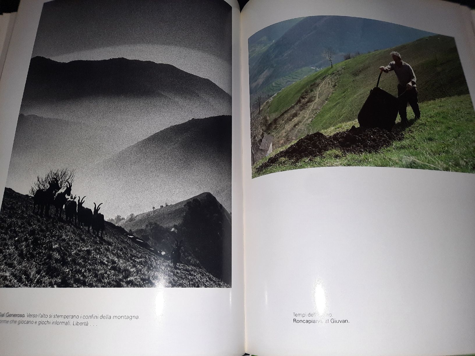 Libri: Occhio & Memoria ed. Vignalunga – Nuovo (secondo la descrizione) da Biasca venduto da Old_6blh 4