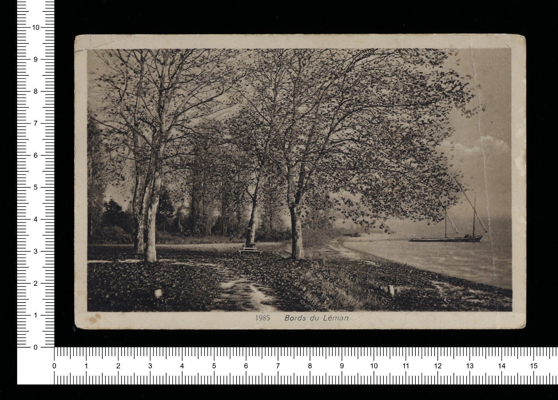 Cartoline postali: Bords du Léman – Usato da Riehen venduto da Tignanello1