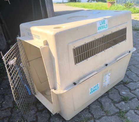 Cages, transport & sécurité: Hundebox – D'occasion à Dachsen par Cicco18
