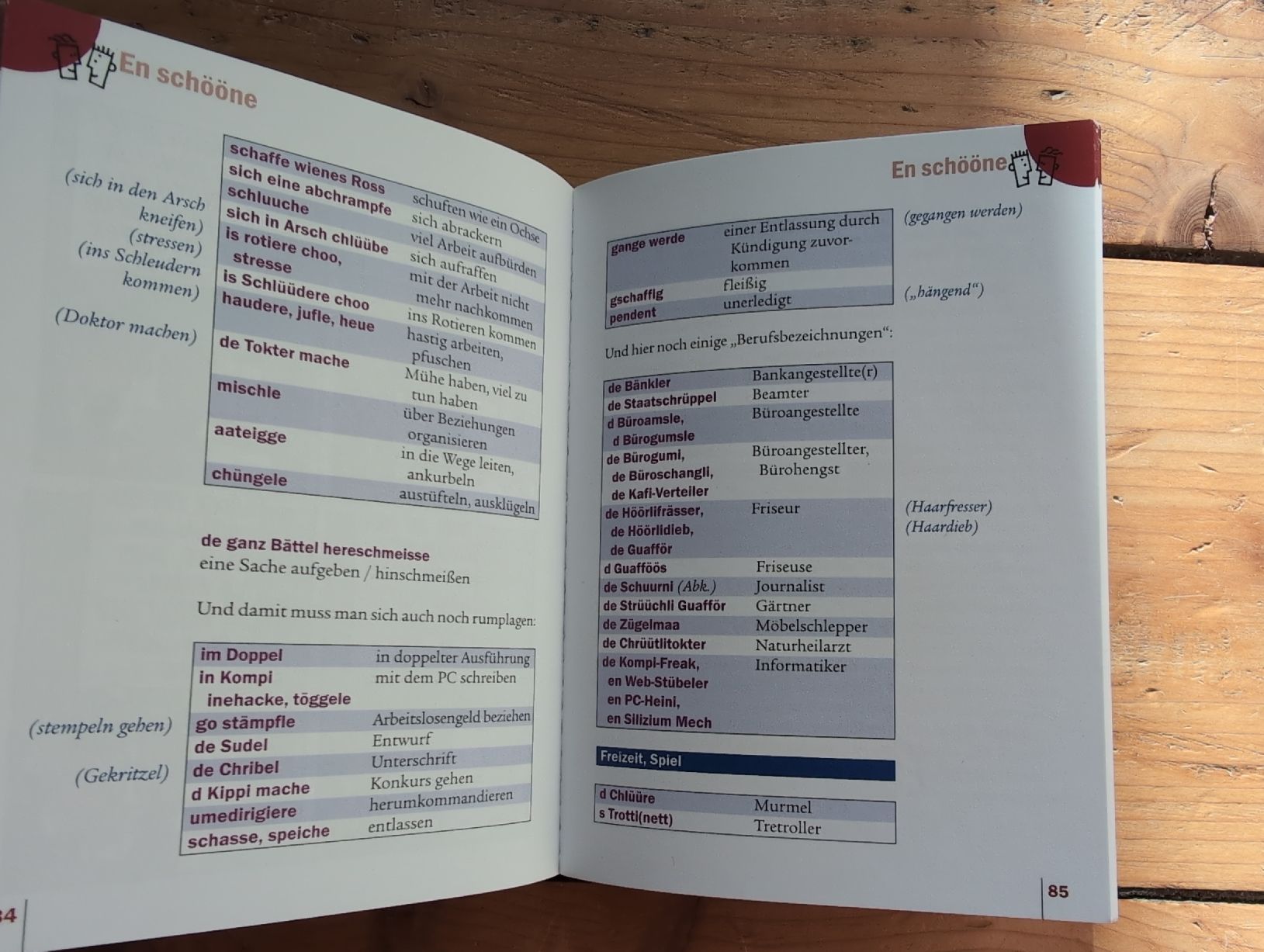 Libri: Schwizertüütsch das Deutsch der Eidgenossen – Usato da Niederglatt ZH venduto da Lenavita 2