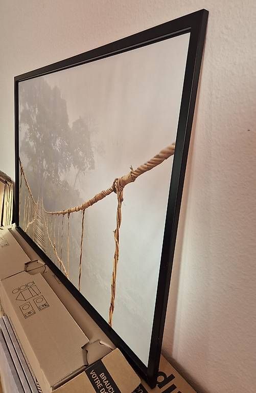 Foto & Immagini: Bild Brücke im Dschungel – Usato da Zürich venduto da pompiersmartin 2