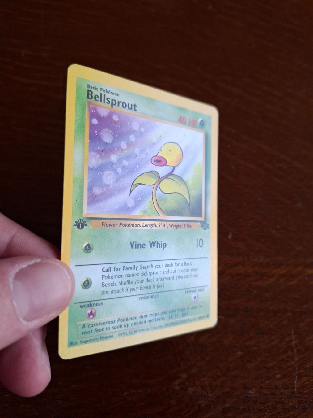 Pokémon Cartes à collectionner: Pokemon Bellsprout Jungle Set 1st edition 49/64 – D'occasion à Giornico par ale_lc8k 2