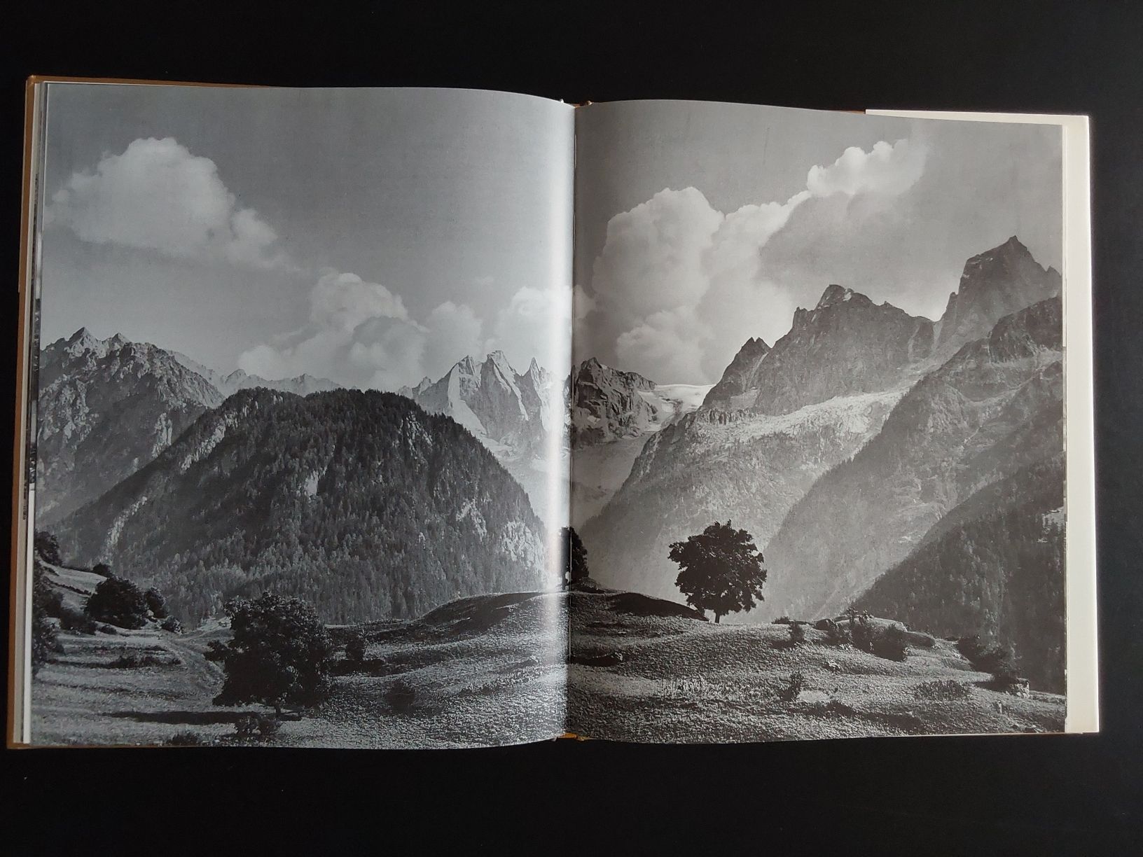 Bücher: Das goldene Buch vom Engadin..Albert Steiner. – Gebraucht aus Steinach von Chilli1957 1
