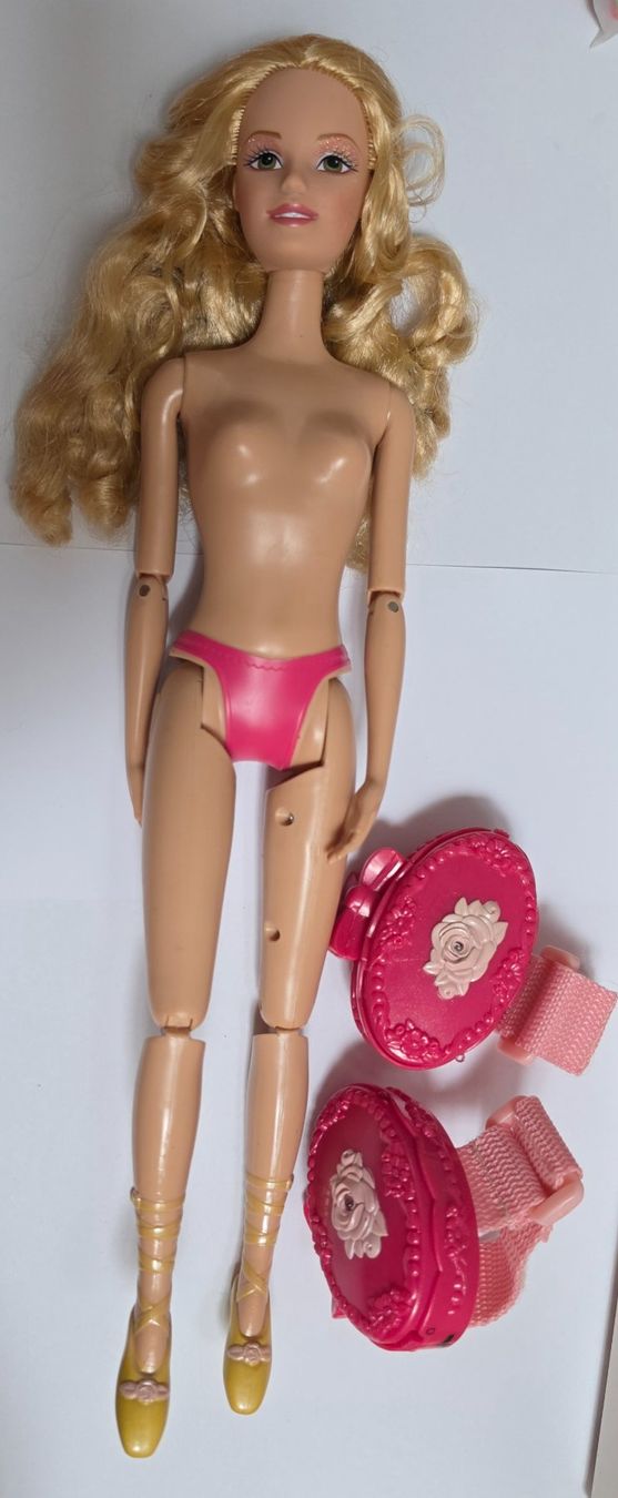Bambole: Barbie et les 12 princesses – Usato da Bulle venduto da Chimchiree