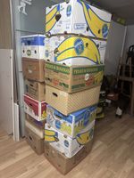 Bananenschachteln  / Umzugsschachteln