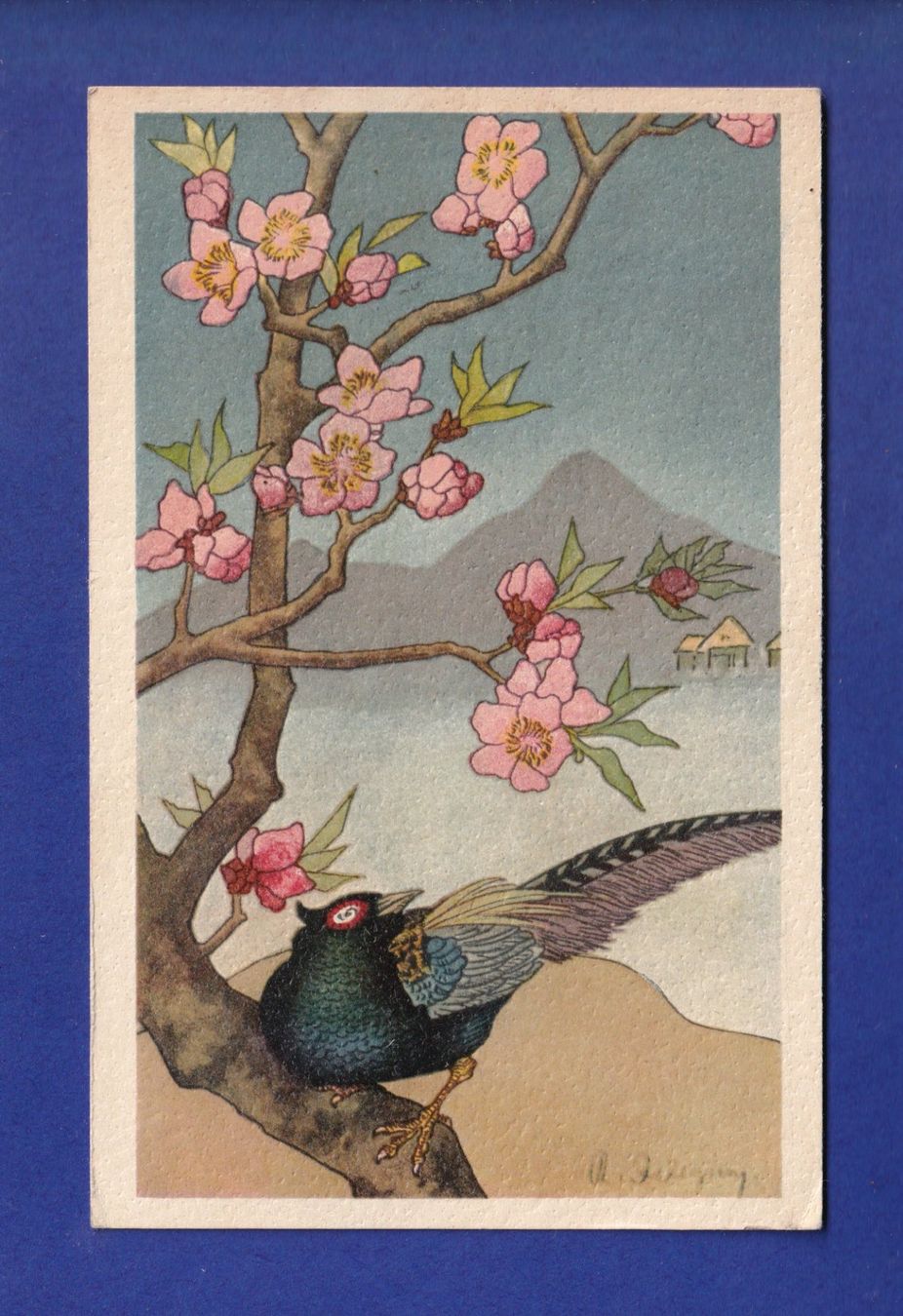 Cartes postales: OISEAU – D'occasion à Pully par nicecards-shop