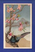 OISEAU