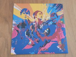 LP + CD  Babyshambles