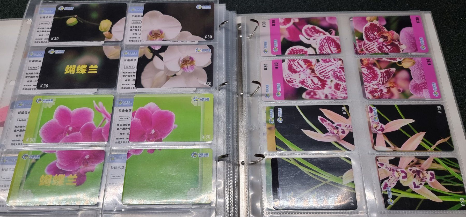 Album: Album 4 silber Telefonkarten Orchideen – Usato da Lostorf venduto da Dalbi 8