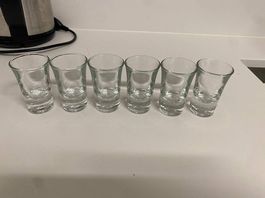 Totally 6 new shot glass