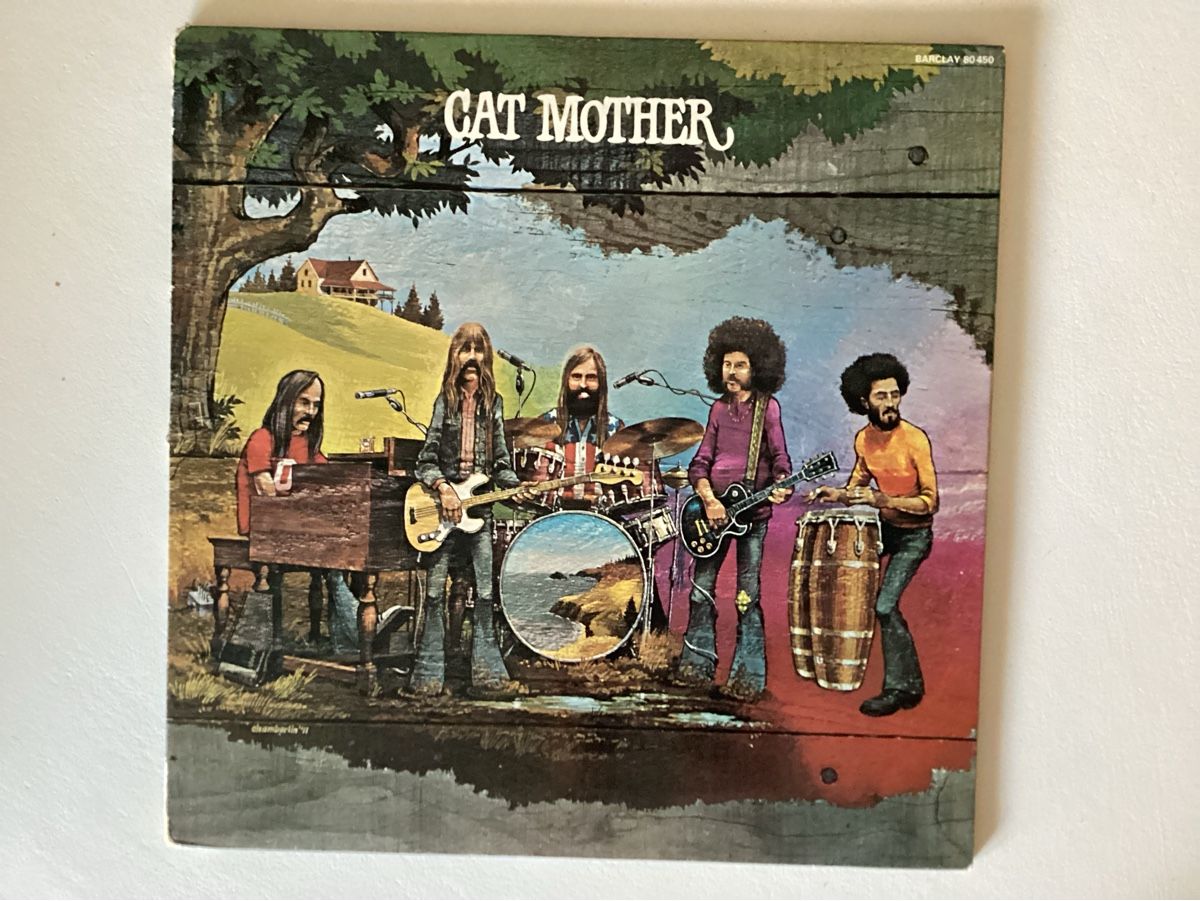 Dischi in vinile: Cat Mother - The Street Giveth... – Usato da Zürich venduto da Rockbyrd
