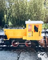 G Spur Loki DR 3005 und 2 Wagons