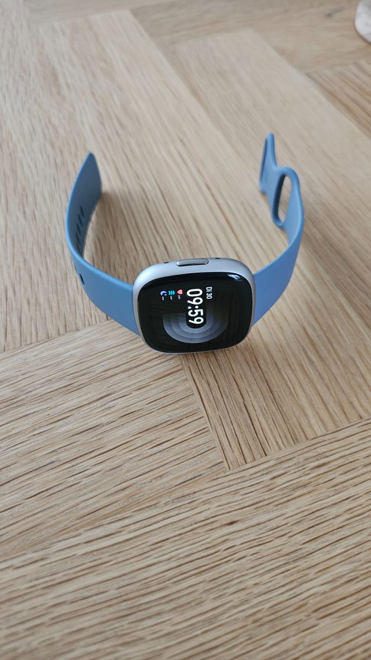 Fitbit Orologi: FITBIT Versa 4 (40.48mm, Aluminium, Silber) – Usato da Chur venduto da lejlani 2