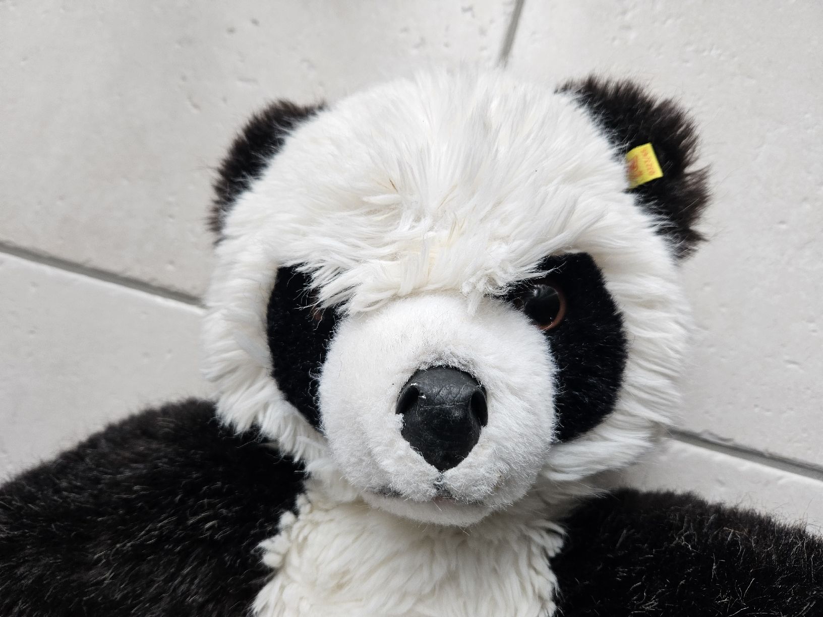 Giocattoli: Pandabär antik - Bär 65 cm – Usato da Haslen GL venduto da Sandra40 3