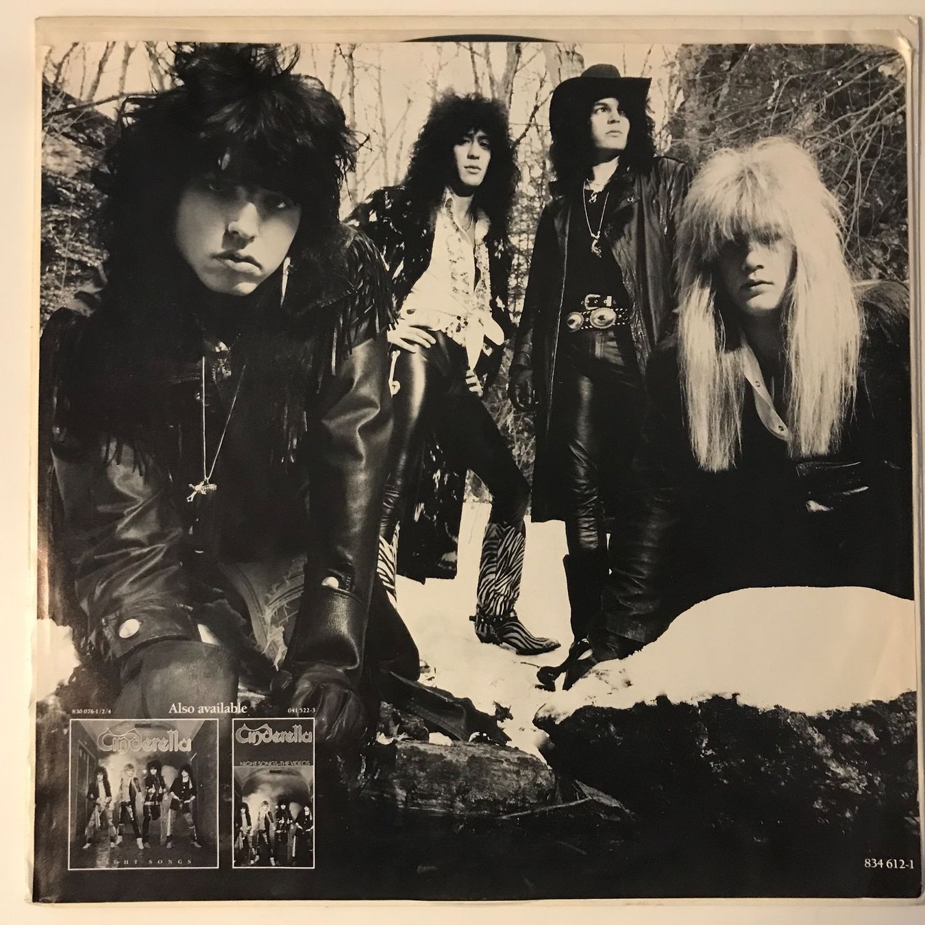 Schallplatten: Cinderella - Long Cold Winter – Gebraucht aus Aesch BL von BlueMusicRecords 2