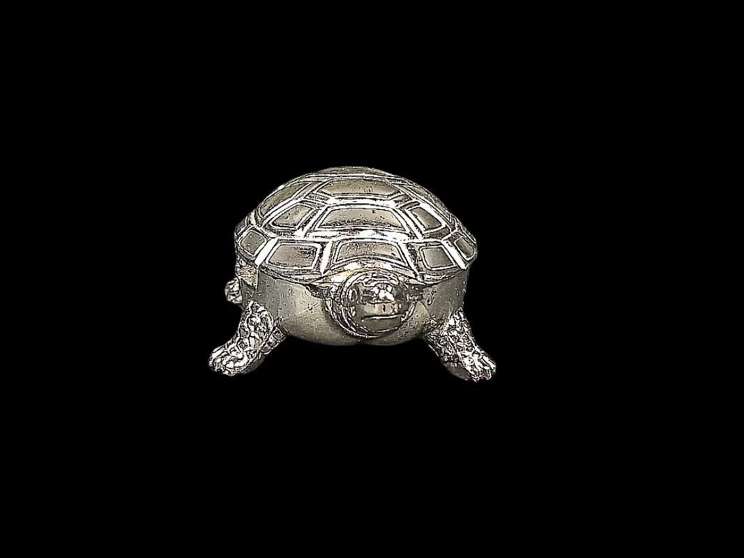 Sonstige Kosmetik & Pflege: Schildkröte, kleine Pillendose mit Zange – Gebraucht aus Hünenberg von Restwert_Zug 1