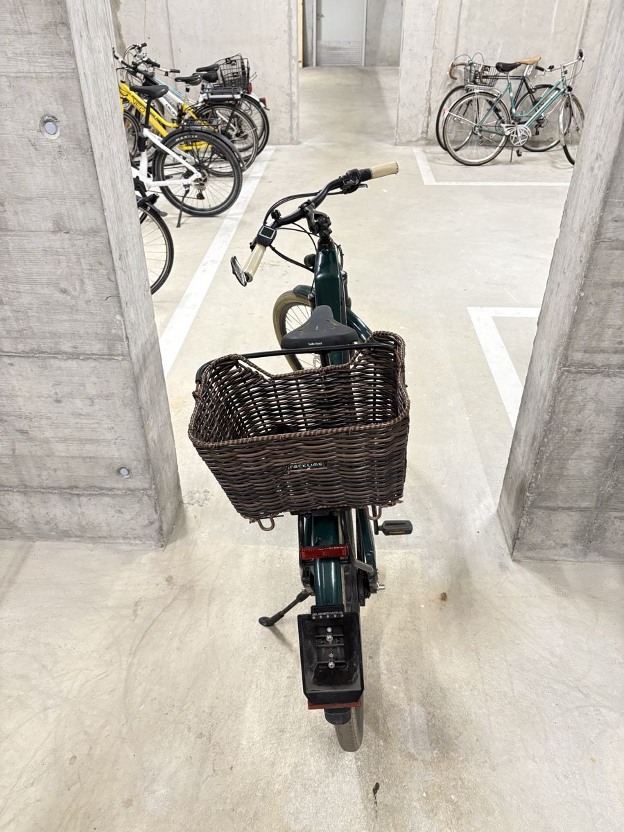 Veicoli elettrici: Cresta e-Corso Neo+ 45kmh (Pedelec) Rahmegrösse M – Usato da Basel venduto da Gumpesel1 1