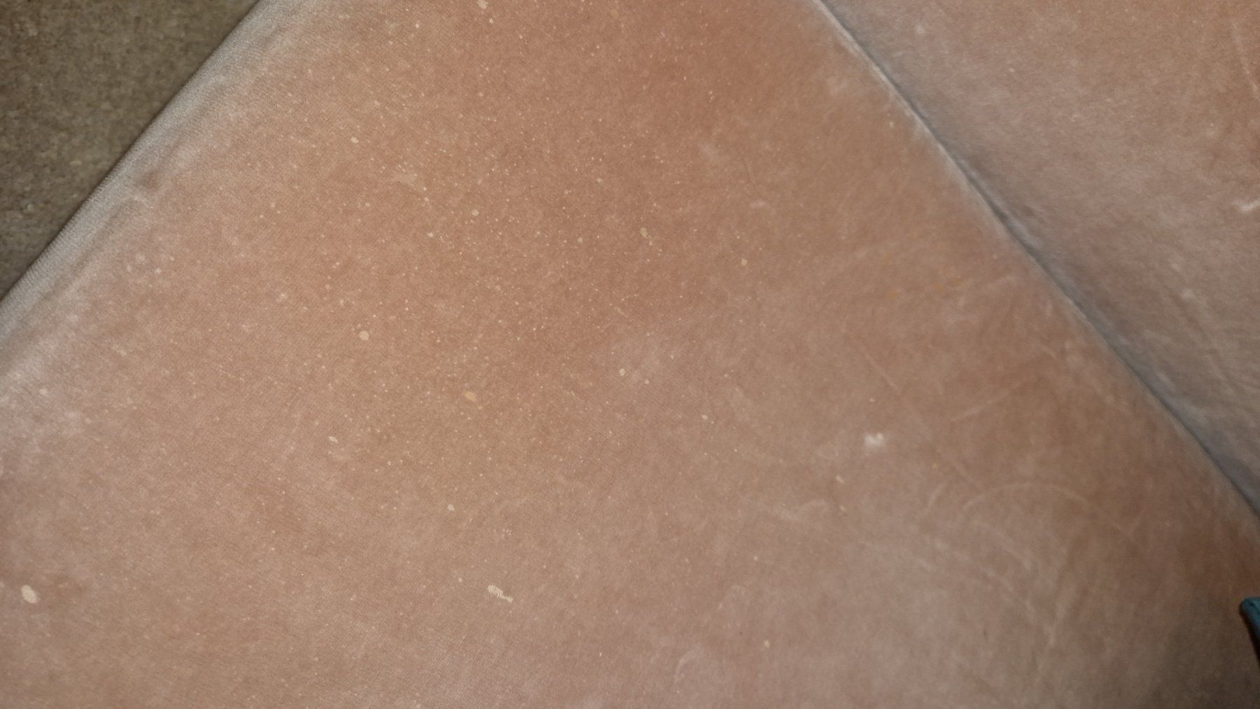 Bolia Divani: Bolia Sofa rosa Samt in Windisch abholbar – Usato da Zürich venduto da Lona280 4