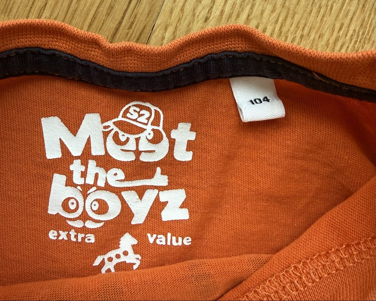 Maglioni & Felpe: Pull T-Rex, taille 104 – Usato da Genève venduto da valmath 1