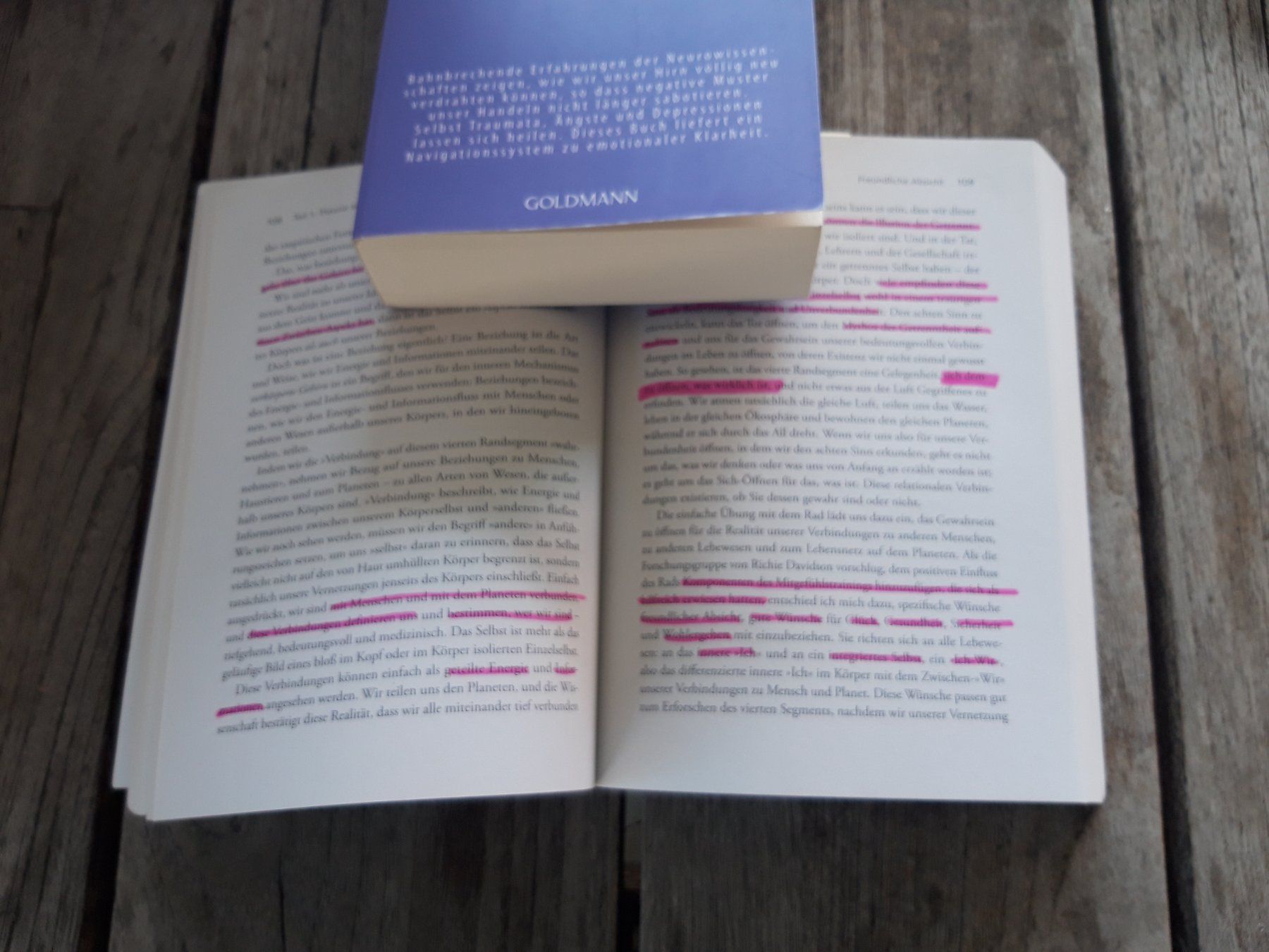 Libri: Gewahrsein und Mindsight von Daniel Siegel – Usato da Wolfhalden venduto da Honda2025 3