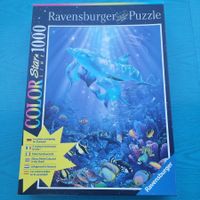 Color Star Line / Leuchtende Unterwasserwelt / Ravensburger