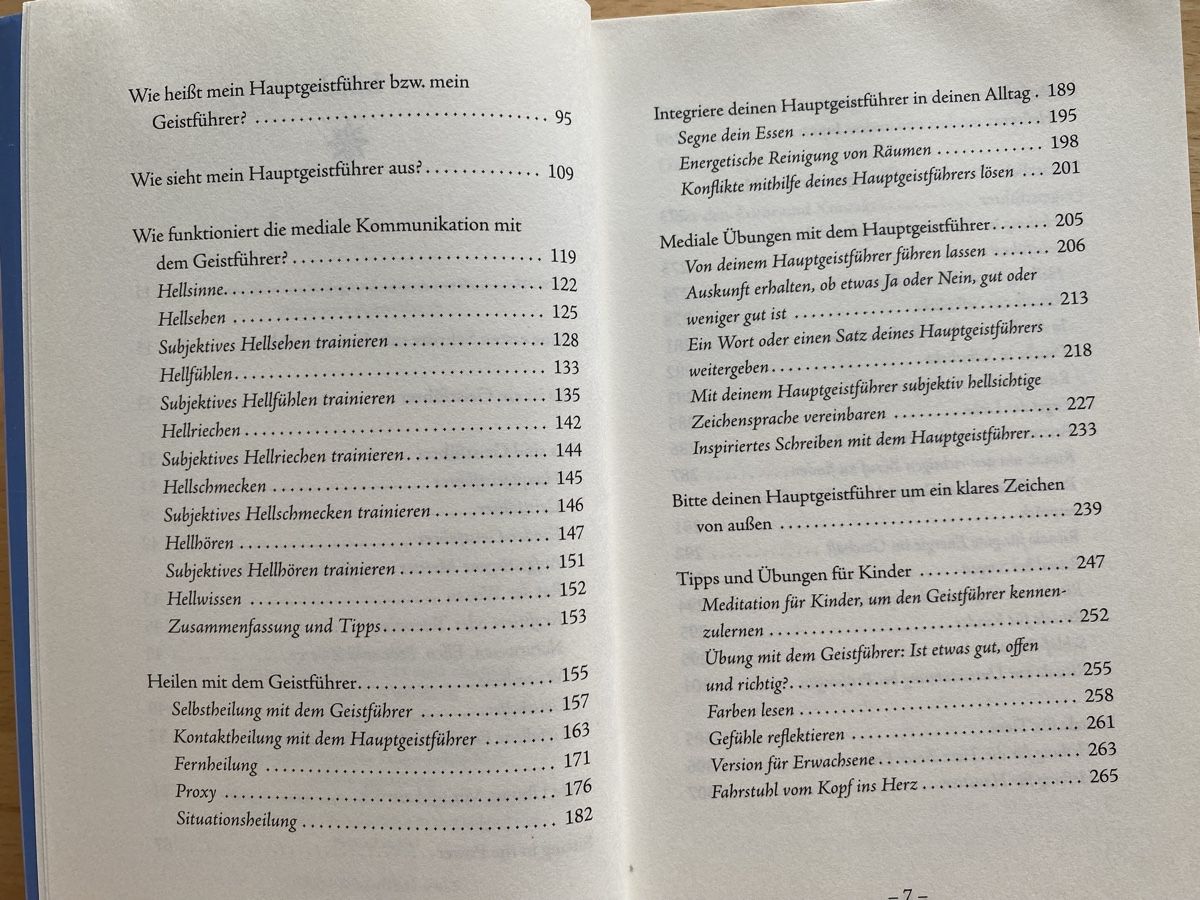 Libri: Deine Geistführer sind bei Dir - Pascal Voggenhuber  – Usato da Schwarzenburg venduto da Michellu 7