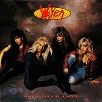 Vixen Vinyl Single von 1990
