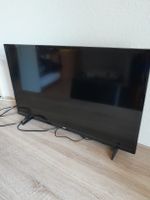 Philips Fernseher 80cm Diagonale