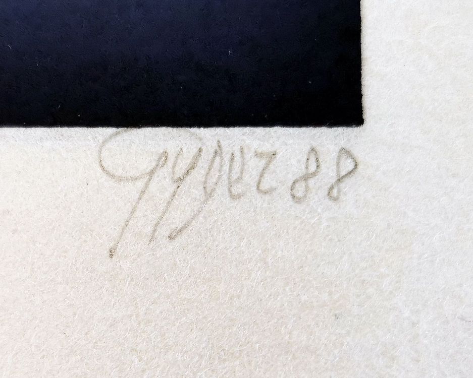 Sérigraphie de Jean-Pierre Gyger | Kaufen auf Ricardo