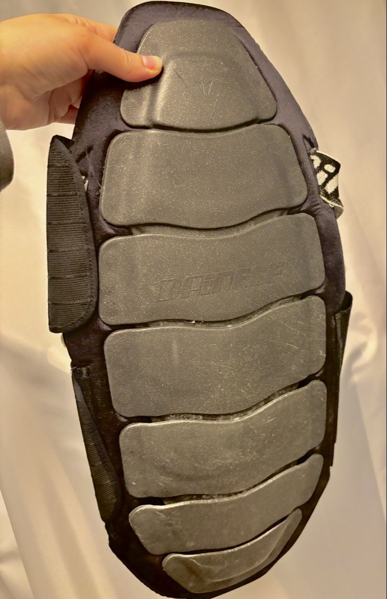 Dainese Protezioni & Imbottiture: Winter Sports Back Protector for Skiing and Snowboarding. – Usato da Zürich venduto da O.Bond