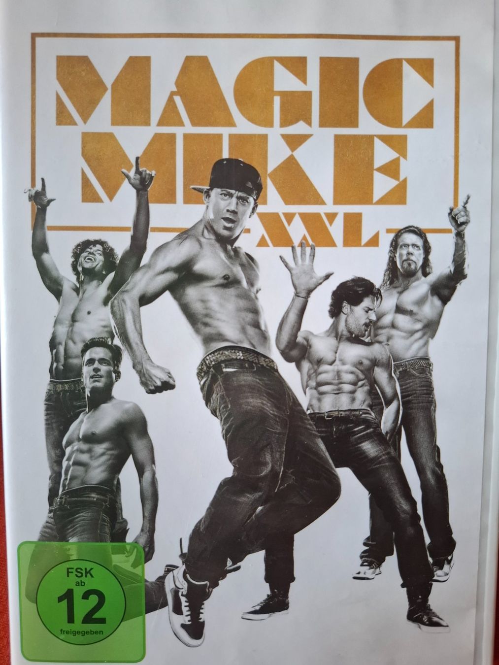 Tutti i DVDs: DVD Magic Mike XXL mit Channing Tatum – Usato da Eiken venduto da Lashar