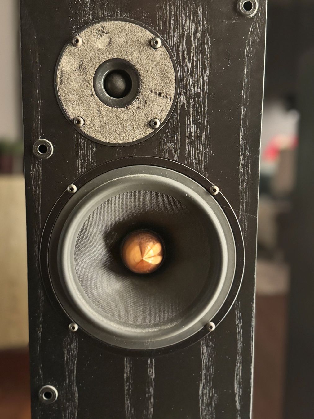 Proac Lautsprecher: ProAc Response 1.5 Lautsprecher, sensationeller Klang – Gebraucht aus Bern von Funkykingdom 1