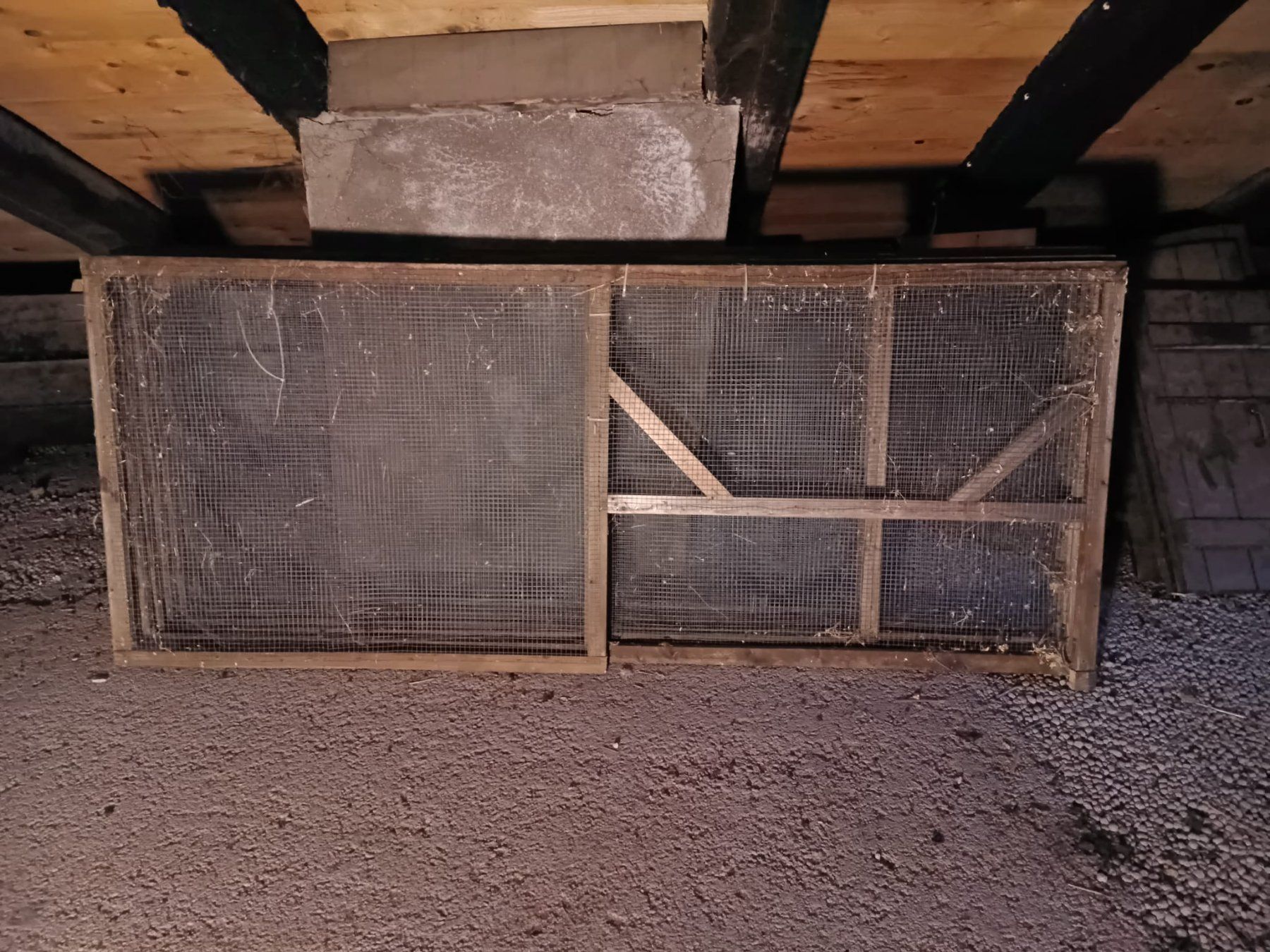 Gabbie, trasporto & Sicurezza: Cage pour animaux – Usato da Muriaux venduto da loo_f72d