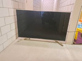 Samsung TV 49 Zoll