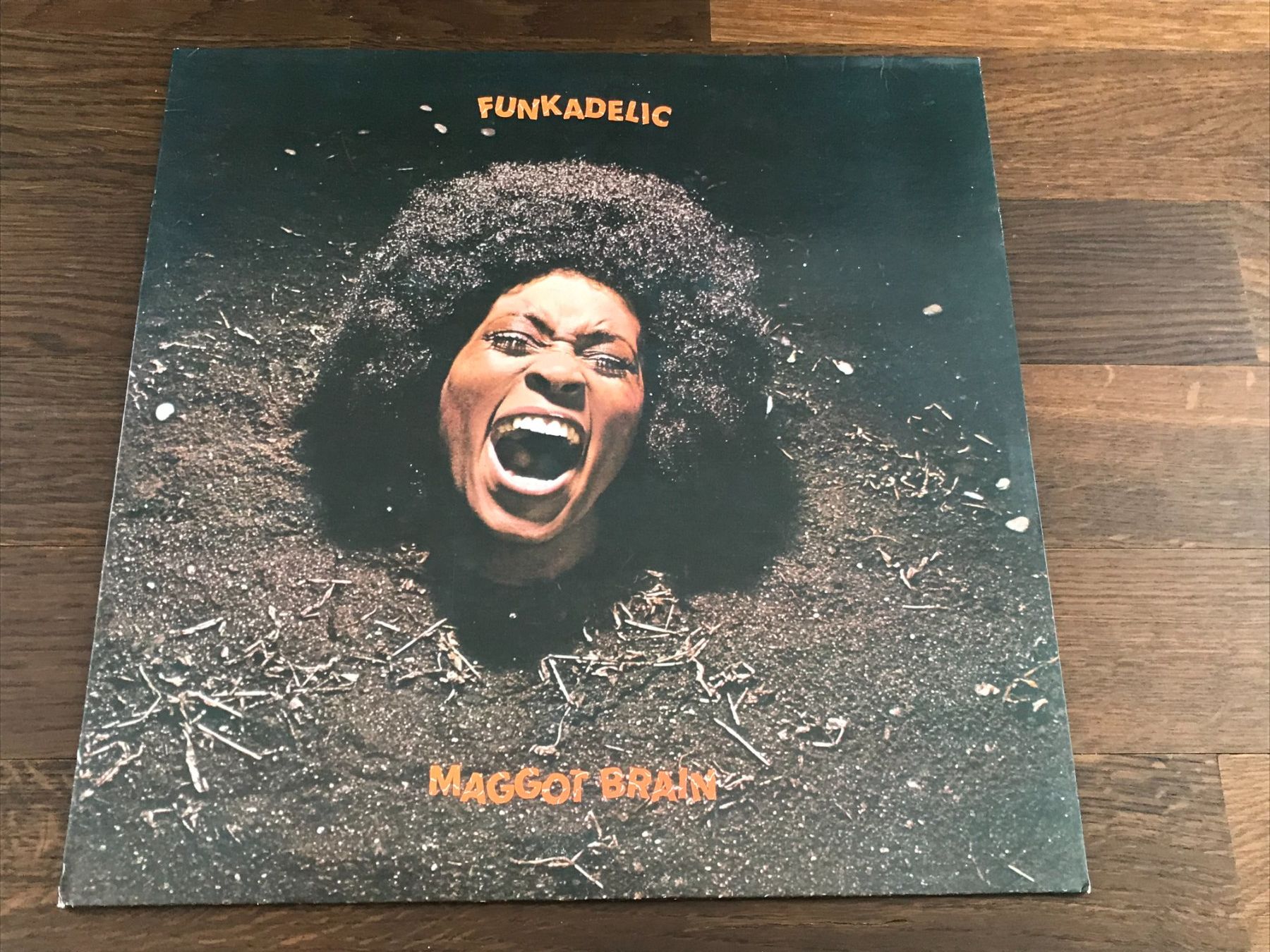 Dischi in vinile: FUNKADELIC - Maggot Brain - Funk – Usato da Buchs AG venduto da Archie
