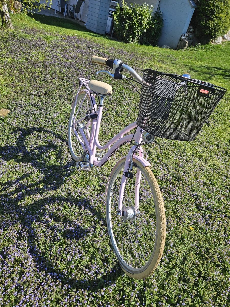 Cresta Biciclette: Vélo Cresta Boulevard rose, avec panier et accessoires – Nuovo (secondo la descrizione) da Martigny venduto da ctr200 2