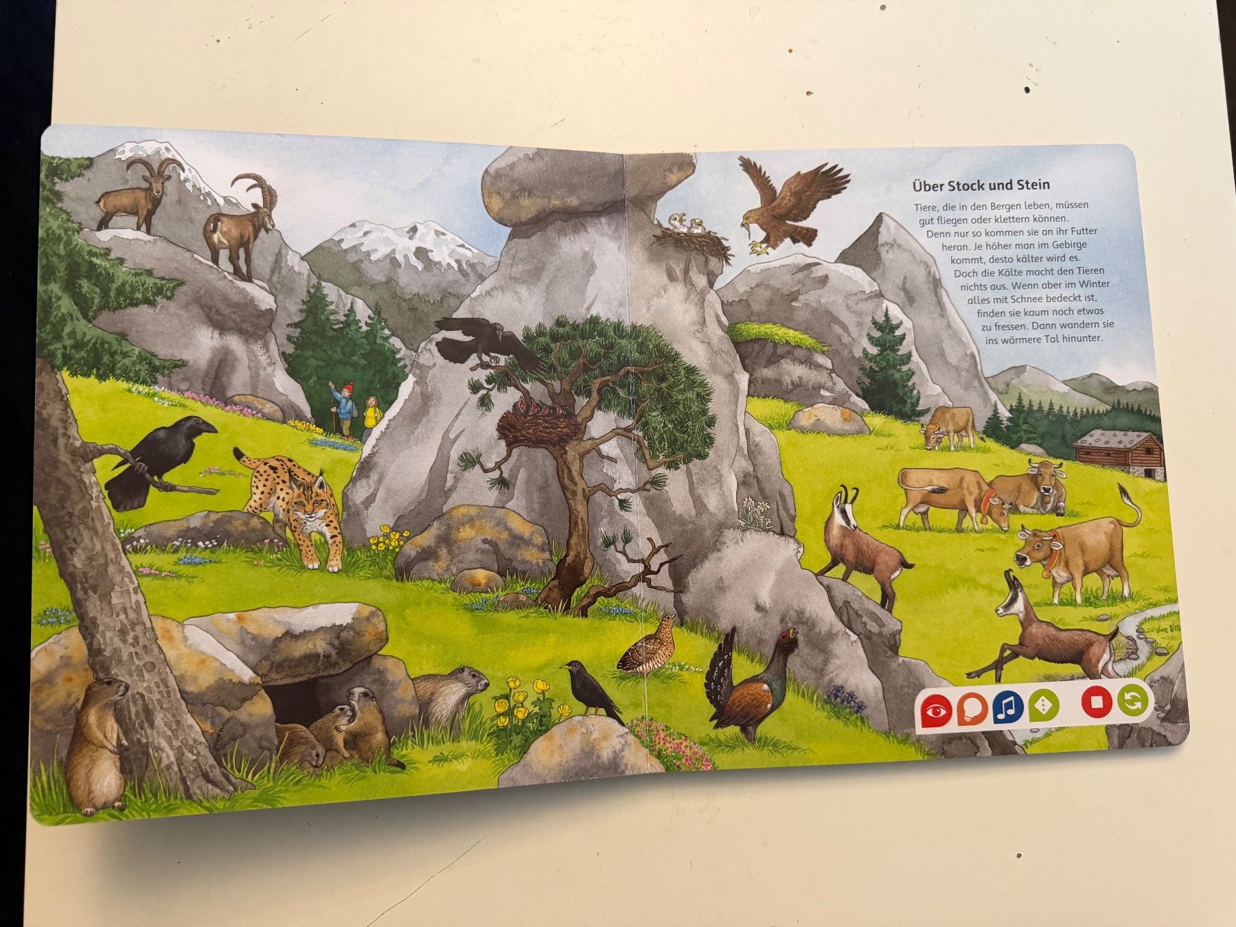 Tiptoi Spiele: Tiptoi Buch Bilderlexikon Tiere – Gebraucht aus Münsingen von Ganjam 4
