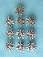 10 Edelweiss Nieten 19x21mm Tracht