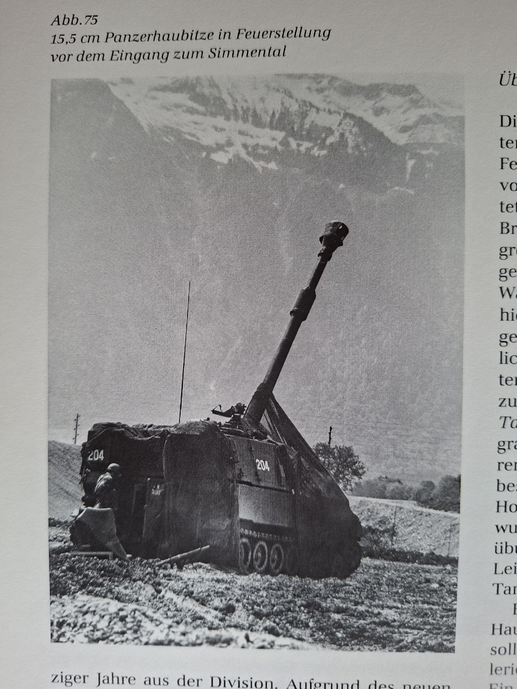 Libri: Schweizer Armee Militär Buch – Usato da Schwanden Sigrisw venduto da len_9yqg 8