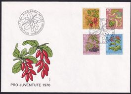 9 Stk. FDC PJ1976 ET