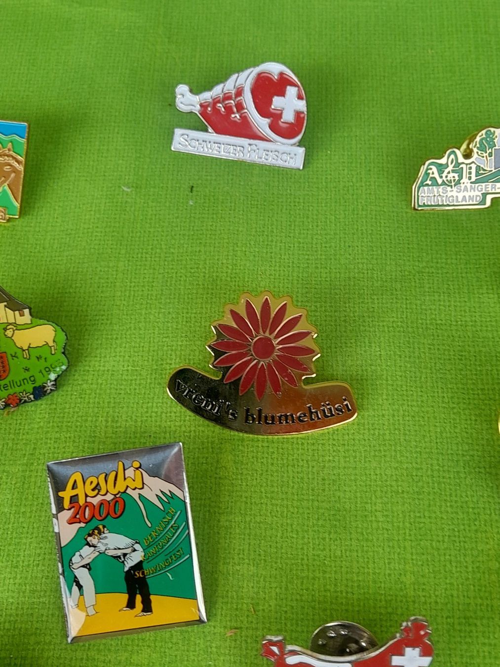 Placchette & Badge: Lot Pins/Anstecknadeln – Usato da Aeschi b.Spiez venduto da 52_wochen 2